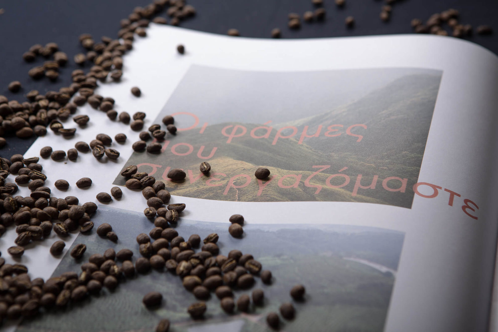 εταιρικη ταυτοτητα